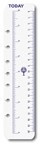 Diary Refill Dayplanner Desk Organiser Today Ruler DK1008