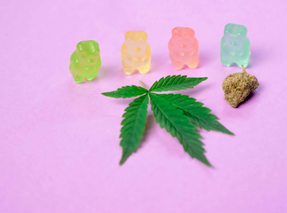 The Ultimate Guide to Delta & THCA Gummies: From CBD to THCP