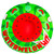 HO Sports Watermelon 1-Person Towable Tube