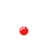 image-category