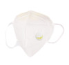 KN95 Face Mask Elastic Ear Loop Carbon Filter Anti-bacterial KN95 Face Mask Elastic Ear Loop Carbon Filter Anti-bacterial