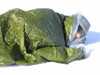 Blizzard 3 Layer Survival Bag - Silver