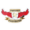 Israel Fire and Rescue Services Wooden Lasercut Symbol Sign 3D