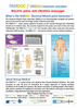 URIDOC / PANDOC™ Massager Electric Pulses  Vibration Massager
