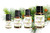 Cedarwood Himalayan Essential Oil