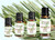 Fir Needle Siberian Essential Oil 100% Pure Therapeutic Grade Aromatherapy