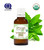 Spearmint Organic Essential Oil 100% Pure Natural Therapeutic Grade 100ML 3.4 FL OZ