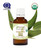 Eucalyptus Lemon Organic Essential Oil 100% Pure and Natural Therapeutic Grade 100 ML 3.4 FL OZ