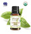 Cinnamon Organic Essential Oil 100% Pure and Natural Therapeutic Grade 15 ML .5 FL OZ