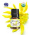 Ylang Ylang Organic Essential Oil 100% Pure and Natural Therapeutic Grade  5 ML (0.17 FL OZ)