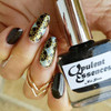 The Geo-Licious nail stamping plate from Clear Jelly Stamper. Available at www.lanternandwren.com.