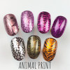 Animal Print mini stamping plate. Available in the USA at www.lanternandwren.com.