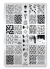 Uber Chic Lovely Leaves 05 Fall nail stamping plate. Available at www.lanternandwren.com.