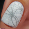 Arachnophobia Lantern & Wren nail stamp plate, available at www.lanternandwren.com.