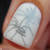Arachnophobia Lantern & Wren nail stamp plate, available at www.lanternandwren.com.