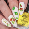 Clear Jelly Stamper Summer Rose nail plate, available at www.lanternandwren.com. 