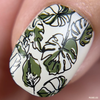 Artsy Line Art nail art plate by Clear Jelly Stamper, available at www.lanternandwren.com.