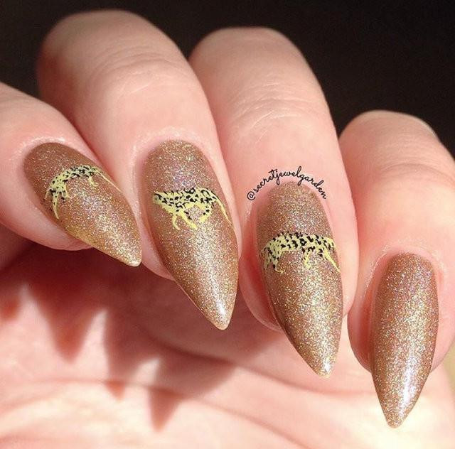 Out of Africa nail stamping plate