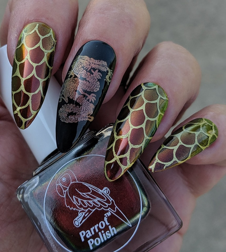 Flight of Fantasy, Dragons nail stamping plate, available exclusive at www.lanternandwren.com.