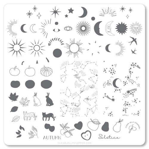 Clear Jelly Stamper Autumn Solstice stamping plate, available at www.lanternandwren.com.