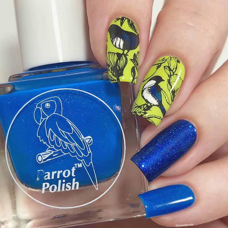 Wild About You 6 nail stamping plate, available exclusively at  .