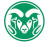 2011 RRPS Athletics Football: Sandia vs Rio Rancho