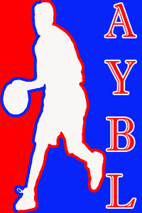 2012 AYBL Boys Basketball: HAWKS vs TIGERS