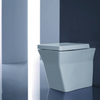 Reve Wall Faced Toilet with Oval flush panel