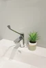 Kohler Care Handle