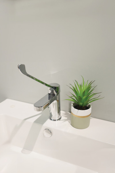 Kohler Care Handle