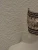 Scrolled Silver-tone Cuff Bangle Bracelet