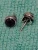 925 Sterling Silver Stud Earrings Featuring Round Purple Amethyst