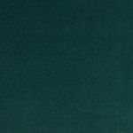 royale plush velvet evergreen~316