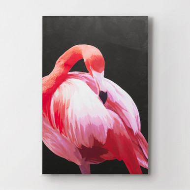 Coral Flamingo 3