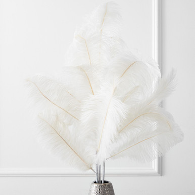 White Ostrich Feather Spads Selected  Wholesale Craft Feathers – Zucker  Feather Products, Inc.