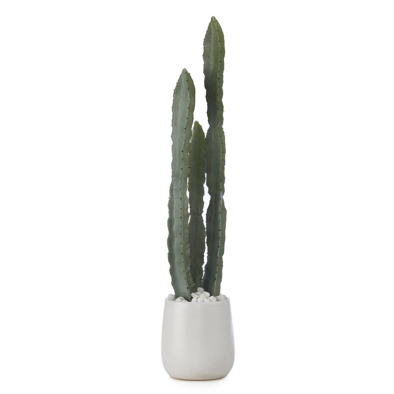 Uitbreiden linnen Versnellen Cactus In White Pot | Zgallerie