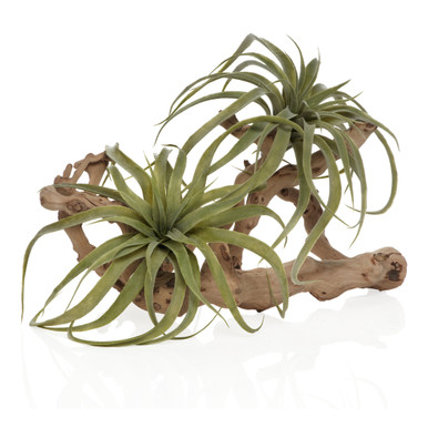 Faux Air Plant