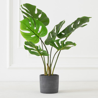 Faux Monstera In Pot Faux Monstera In Pot