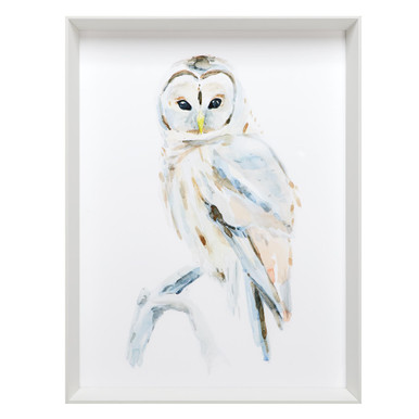 Arctic Owl 2