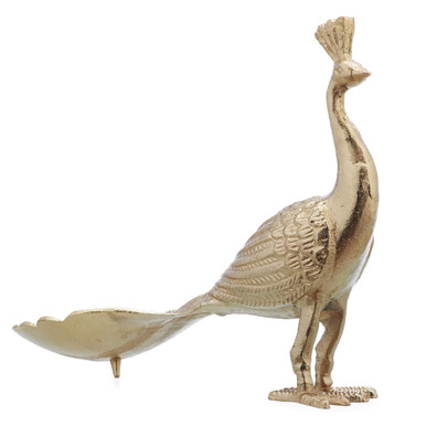 Standing Peacock