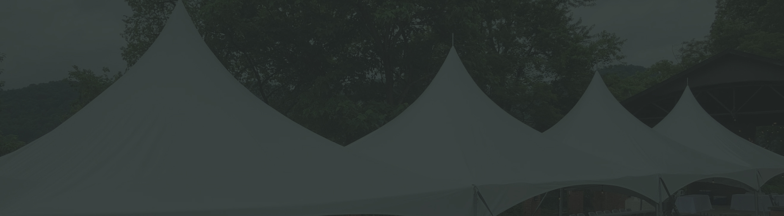 newsletter-background