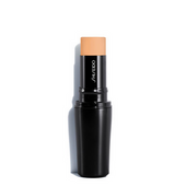 Shiseido The Makeup SPF15 Stick Foundation