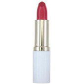 Estee Lauder Pure Color Long Lasting Lipstick 1