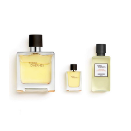 Hermes Terre D'hermes Gift Set 75ml EDP + 5ml EDP + 40ml Shower Gel