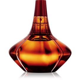 Calvin Klein Secret Obsession Eau De Parfum 100ml