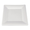 Plate,10x10,sq,500,wh