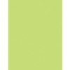 Pacon Kaleidoscope Multi-Purpose Paper - Letter - 8.50" x 11" - 24 lb Basis Weight - 500 Sheets/Pack - Multi-Purpose Paper - Lime Green