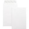 Business Source Self-Seal 6"x9" Catalog Envelopes - Catalog - 6" Width x 9" Length - 28 lb - Self-sealing - Wove - 100 / Box - White