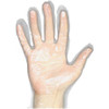 Protected Chef Disposable General Purpose Gloves - Medium Size - Unisex - Clear - Disposable, Comfortable, Durable, Ambidextrous, Lightweight - For Food Handling, Multipurpose, Cleaning, Printing - 1000 / Carton - 11.50" Glove Length