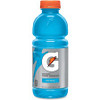 Gatorade Thirst Quencher Bottled Drink - 20 fl oz (591 mL) - Bottle - 24 / Carton